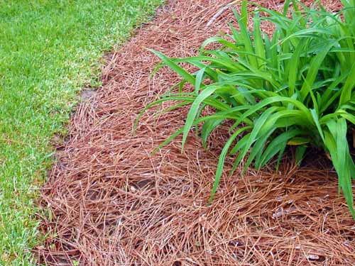 mulching landscape